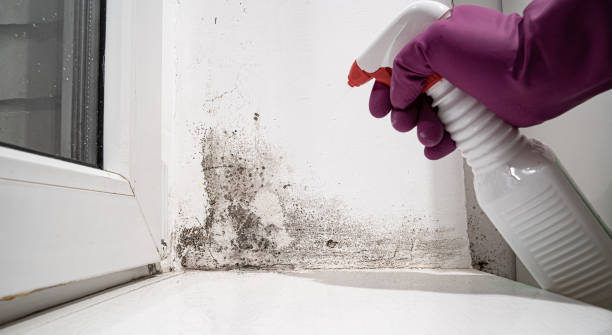 Water damage restoration process